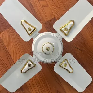 Roch 24” Ceiling Fan Quiet Powerful Airflow