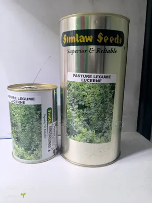 Lucerne Pasture Legume Lucern 100g, 500g