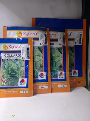 Collards Sweet Georgia F1 Seeds 5g,10g,25g,50g,100g