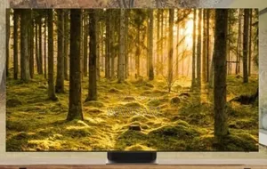 Samsung 85"Inch Duo800 Brand New