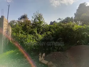 1/4 Acre Nyathuna