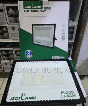 Jsot 300w Electric Floodlight