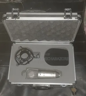 Beringer Mic (B1)