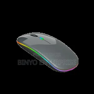 Hp W10 Wireless Mouse