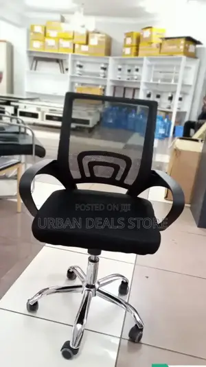 Assembled Executive Office Chair