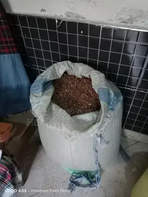 Castor Beans for Sale
