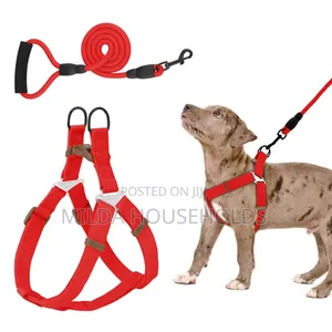 Dog Leash / Harness With Collar.