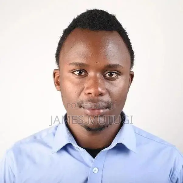 Web Application Developer
