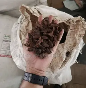 Black Cardamom Seeds. 500g.