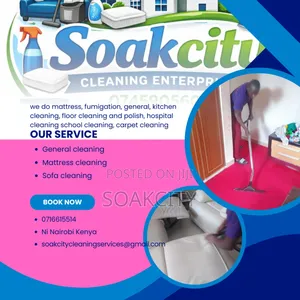Sofa Cleaning