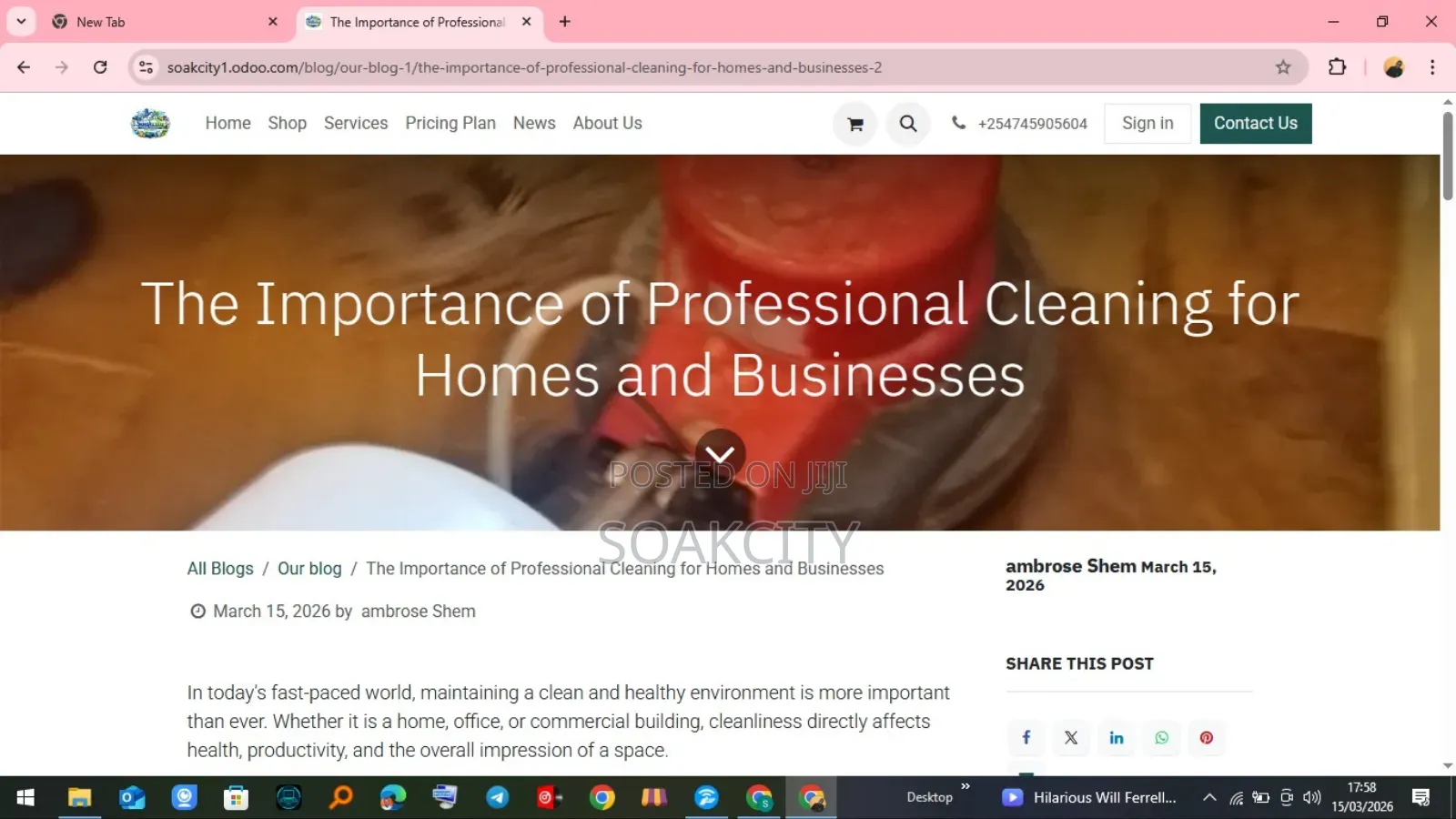 Sofa Cleaning