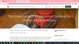 Sofa Cleaning