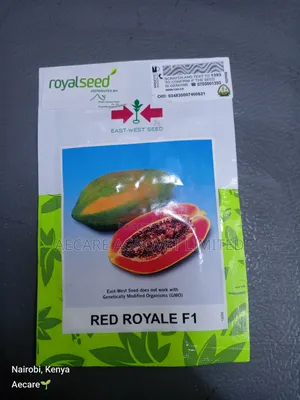 Red Royale F1 Pawpaw Seeds 10 Seeds