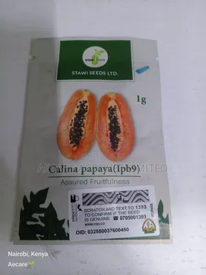 Calina Papaya (1pb9) 60 Seeds 1gram Pawpaw Seeds