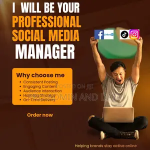 Professional Siocial Media Management
