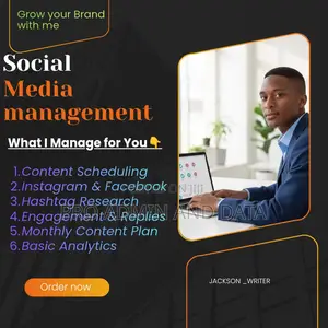 Professional Siocial Media Management