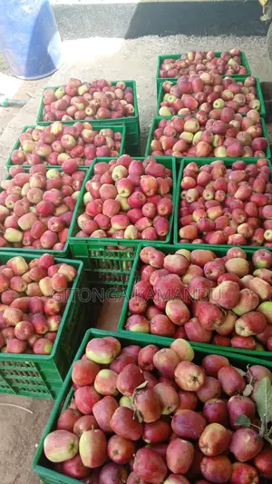 Apples for Sale