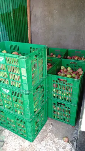 Apples for Sale