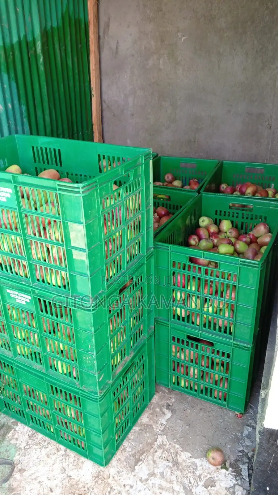 Apples for Sale