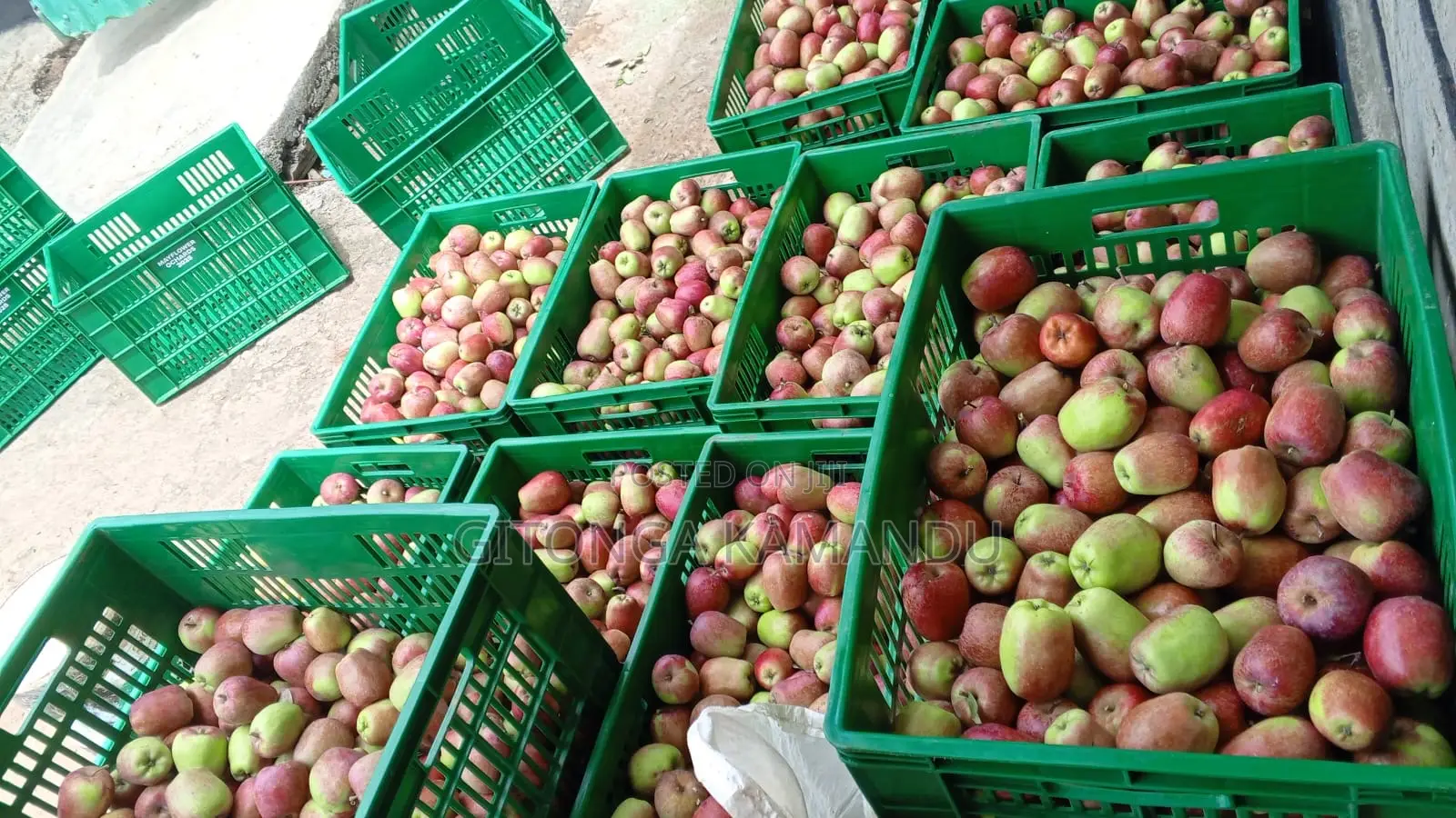 Apples for Sale