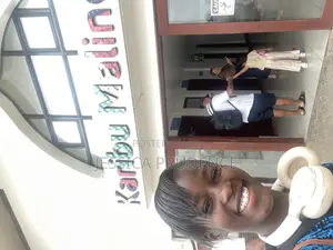 Professional English Tutor