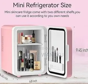 4l Portable Beauty Car Fridge With Mirror and Duo Power Option