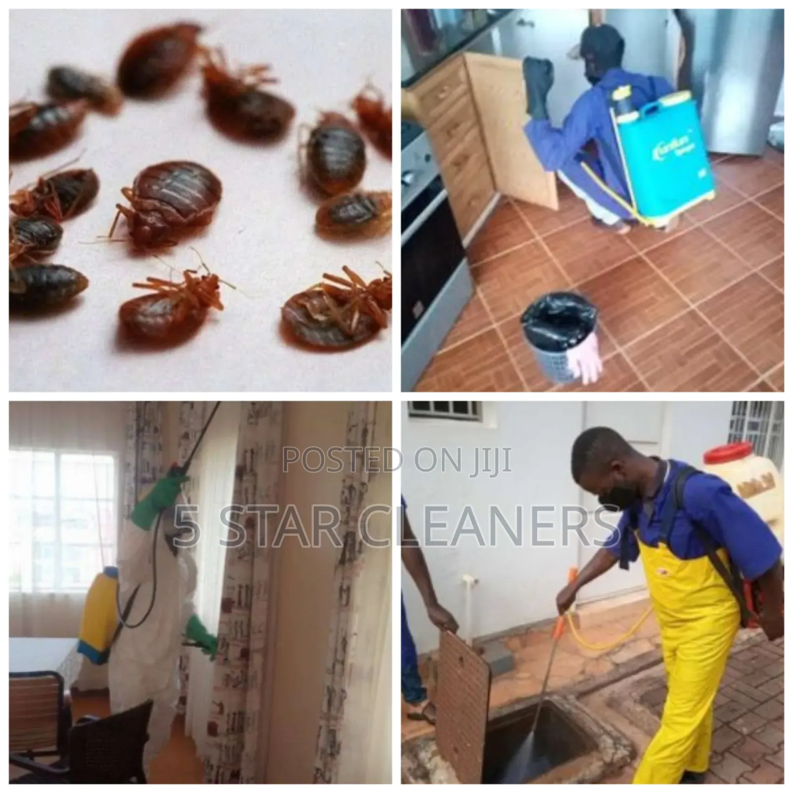 Fumigation Services