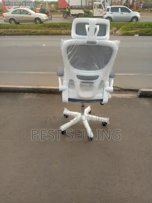 Classic White Grey Executive Office Chair