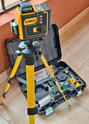 Professional Dewalt 360° Laser Lever