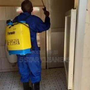 Bedbugs Cockroaches Fumigation
