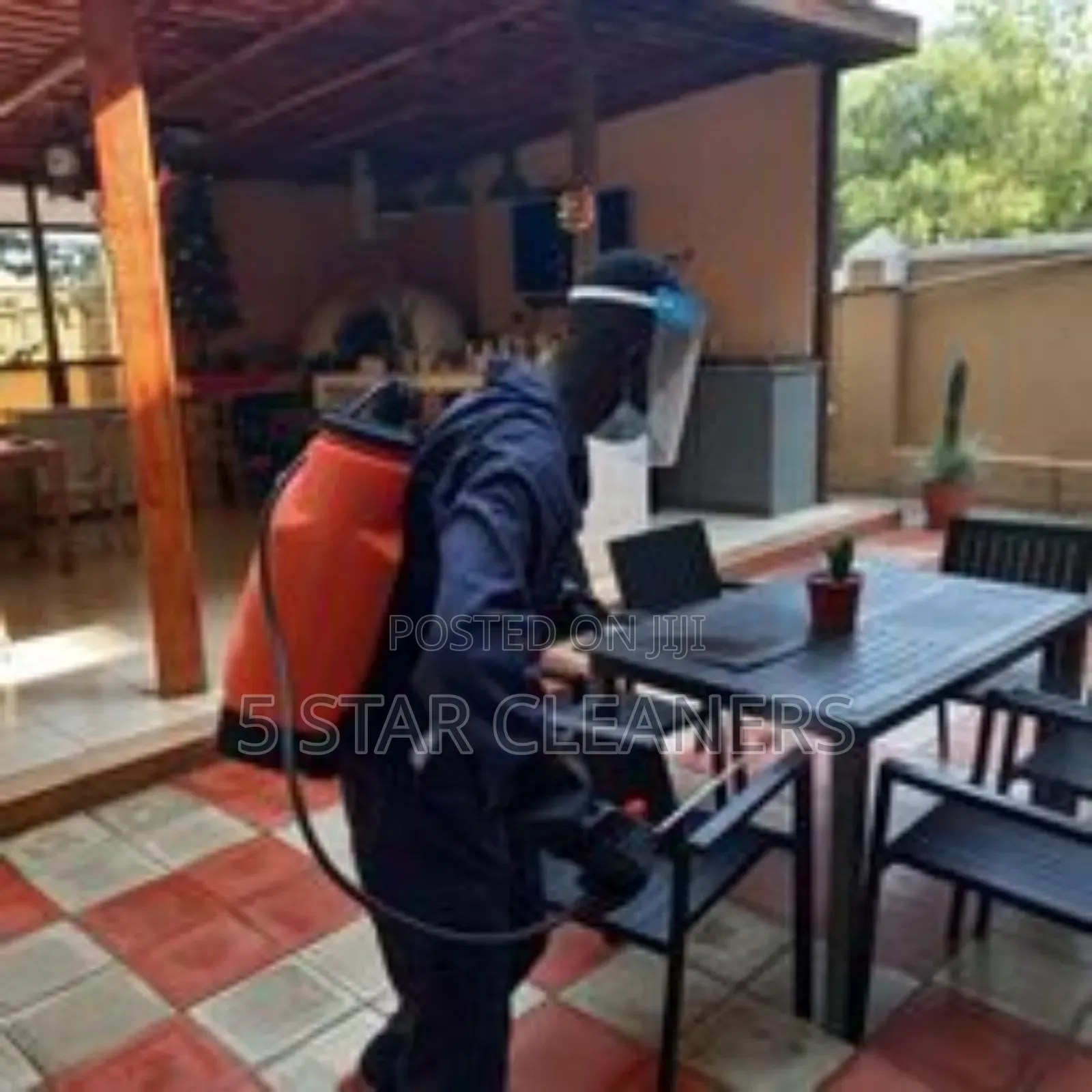 Fumigation and Cleaning After Fumigation Services