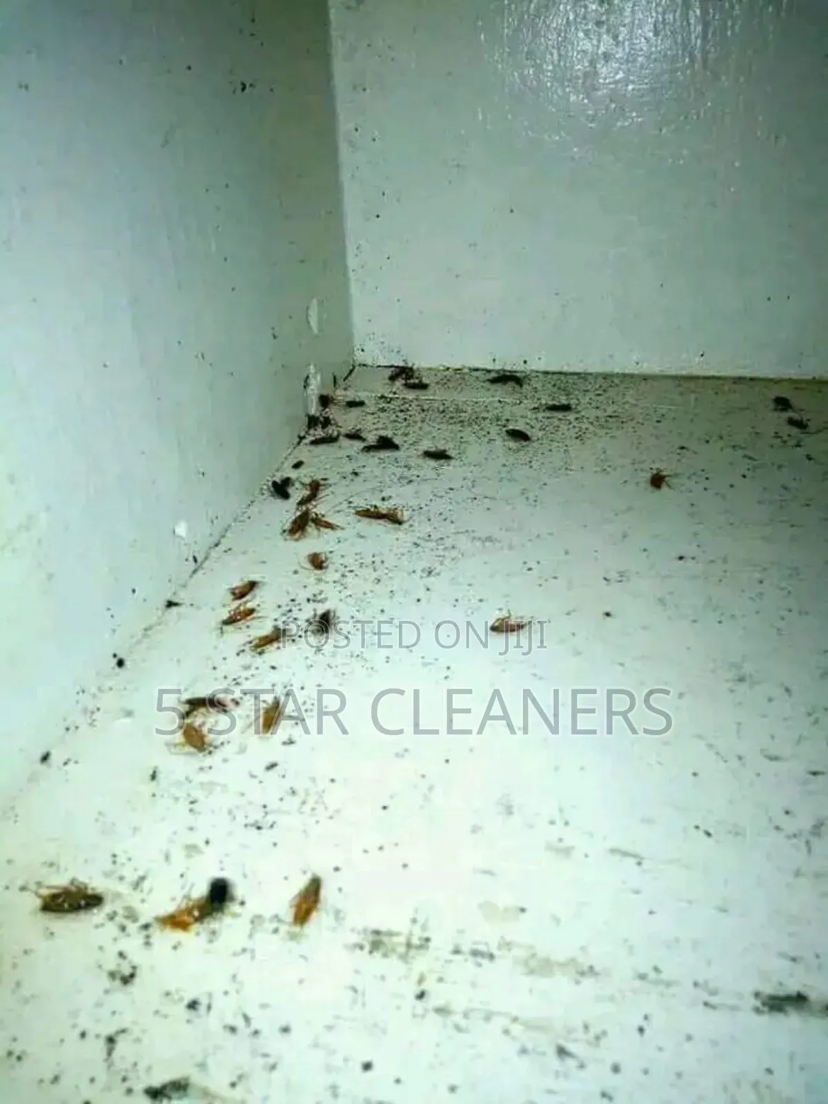 Friendly City Fumigators