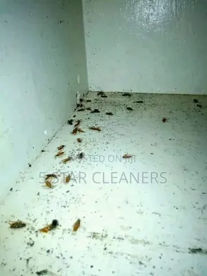 Friendly City Fumigators