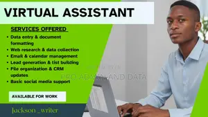 Reliable Virtual Assistant for Admin Tasks, Emails Scheduling