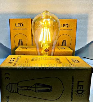 Led Filament Edison Bulb 4w