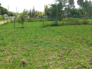 Plot for Sale Nanyuki