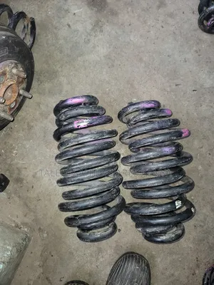 Probox 2017 Rear Heavy Duty Springs