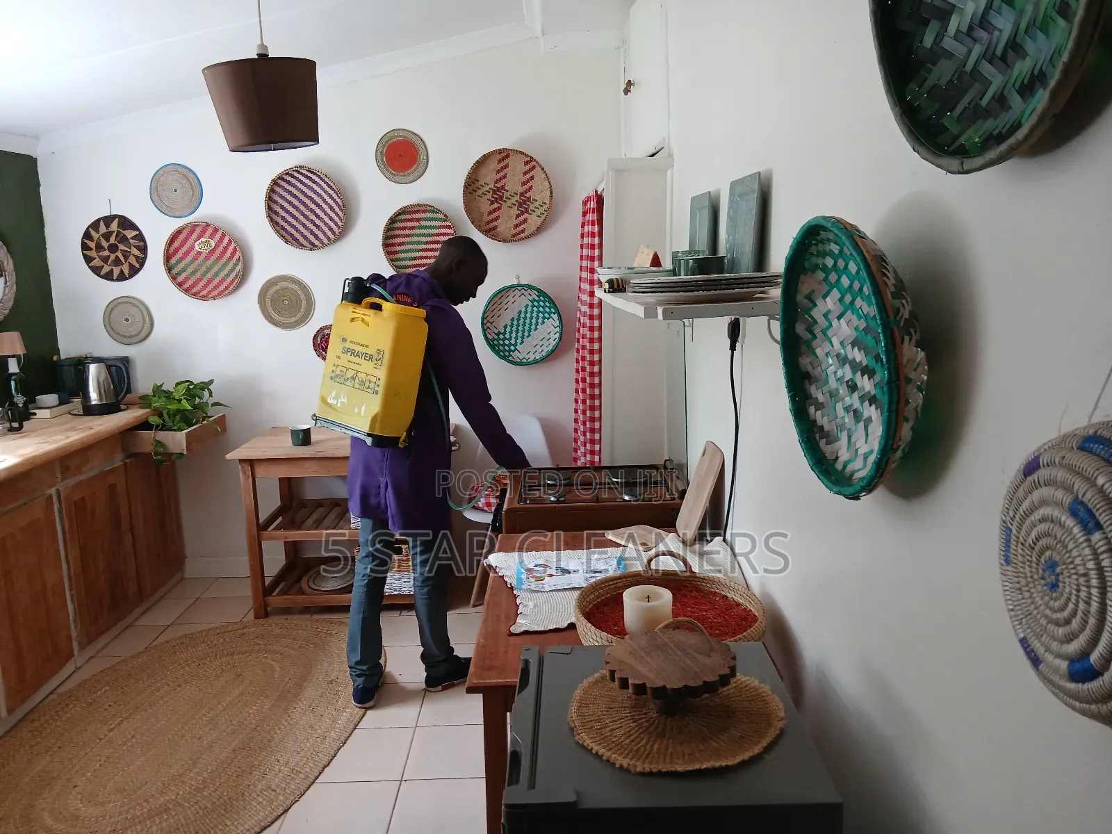 Fumigation and Cleaning After Fumigation Services