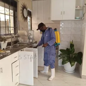 Fumigation and Cleaning After Fumigation Services