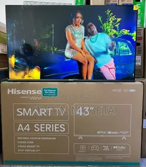 Netflix Hisense 43 Inch A4 Series