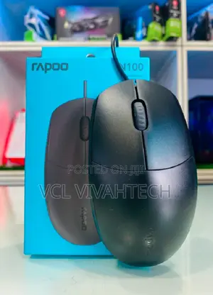 Rapoo N100 Mouse