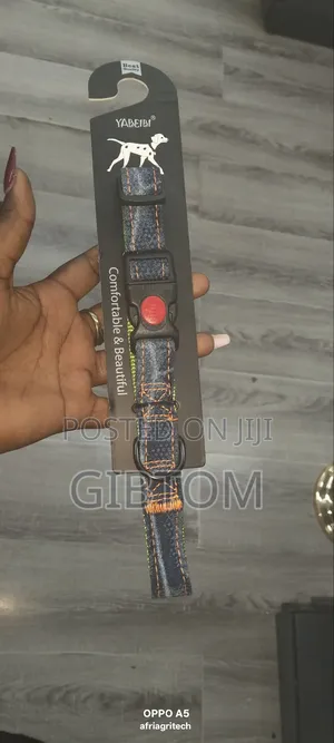 Fancy Dog Collar