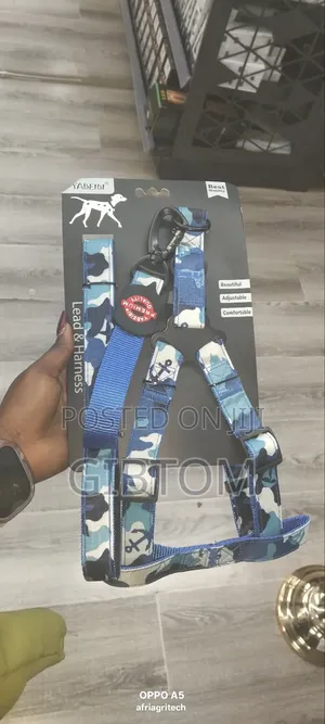 Dog Lead and Harness