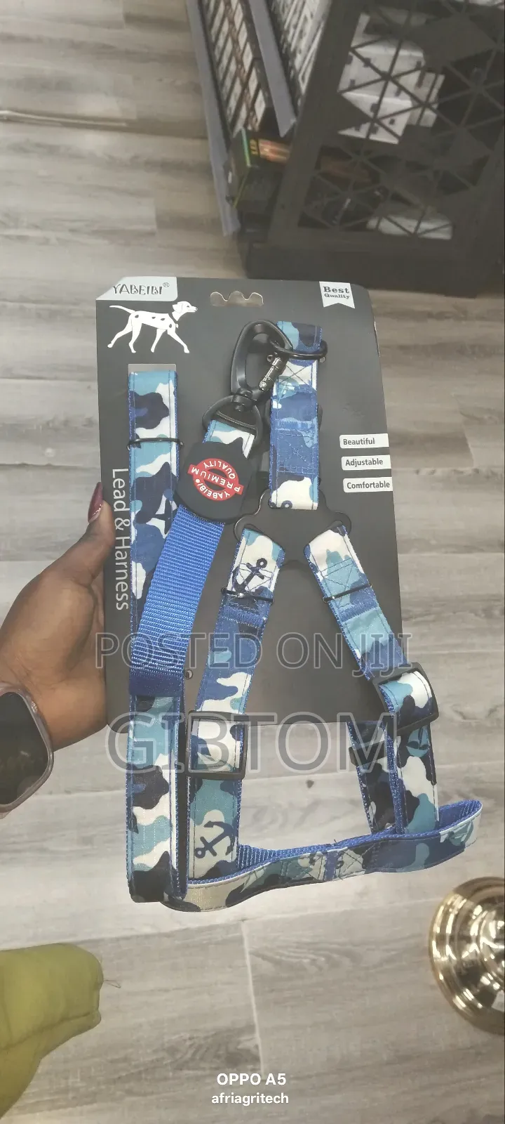 Dog Lead and Harness