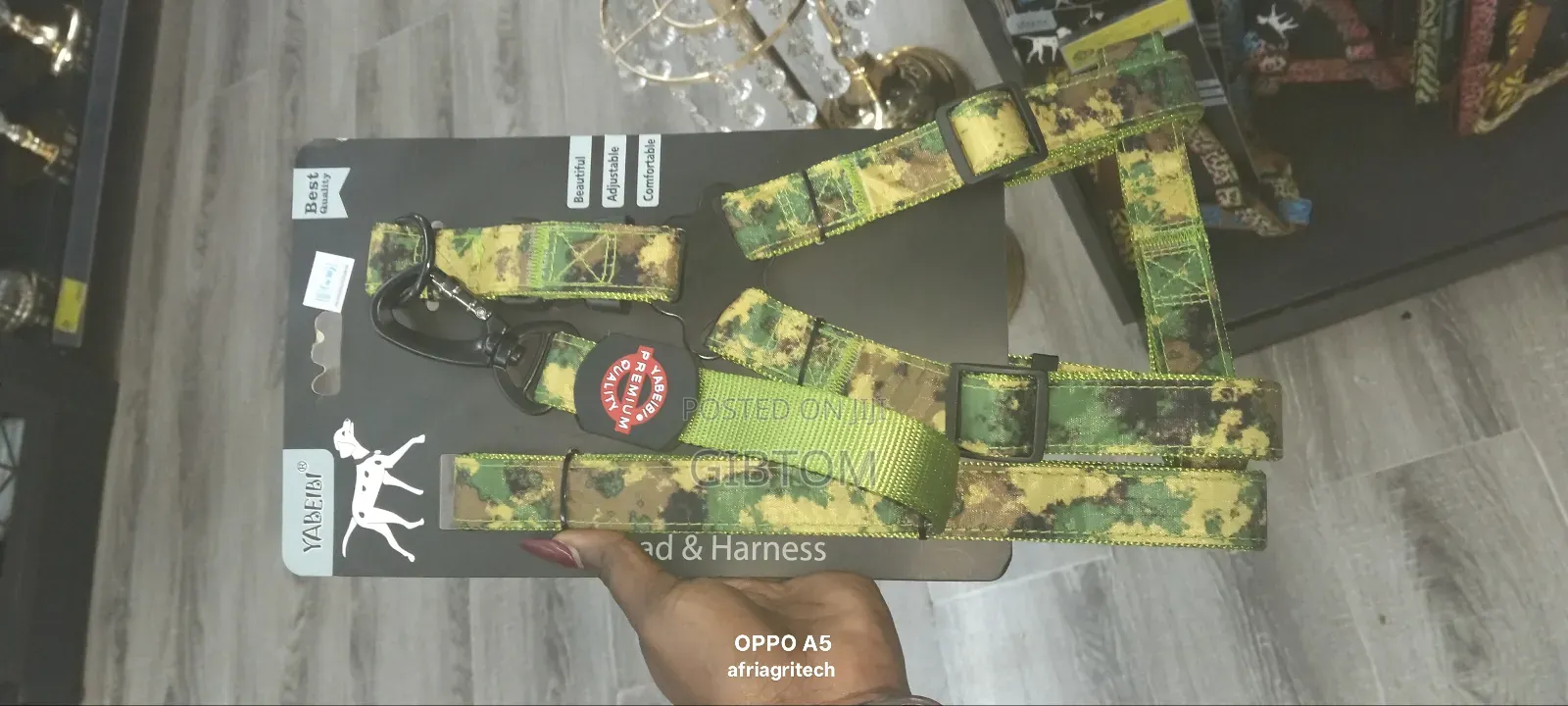 Dog Lead and Harness