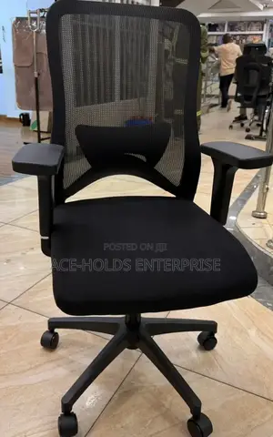 Black Ergonomic Mesh Office Chair ~ Mid Back, Lumbar Support