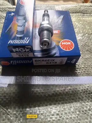 Spark Plugs Iridium 6418