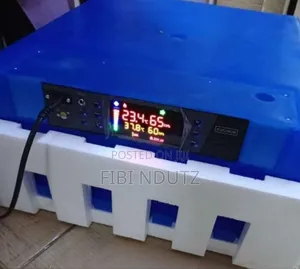 64 Eggs Incubator for Poultry/Egg Incubator