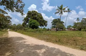 Msabaha Plots