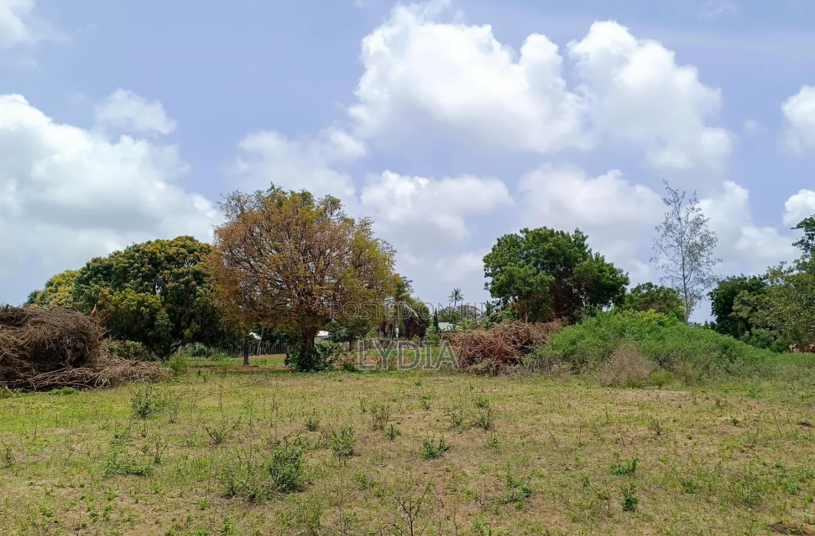 Msabaha Plots
